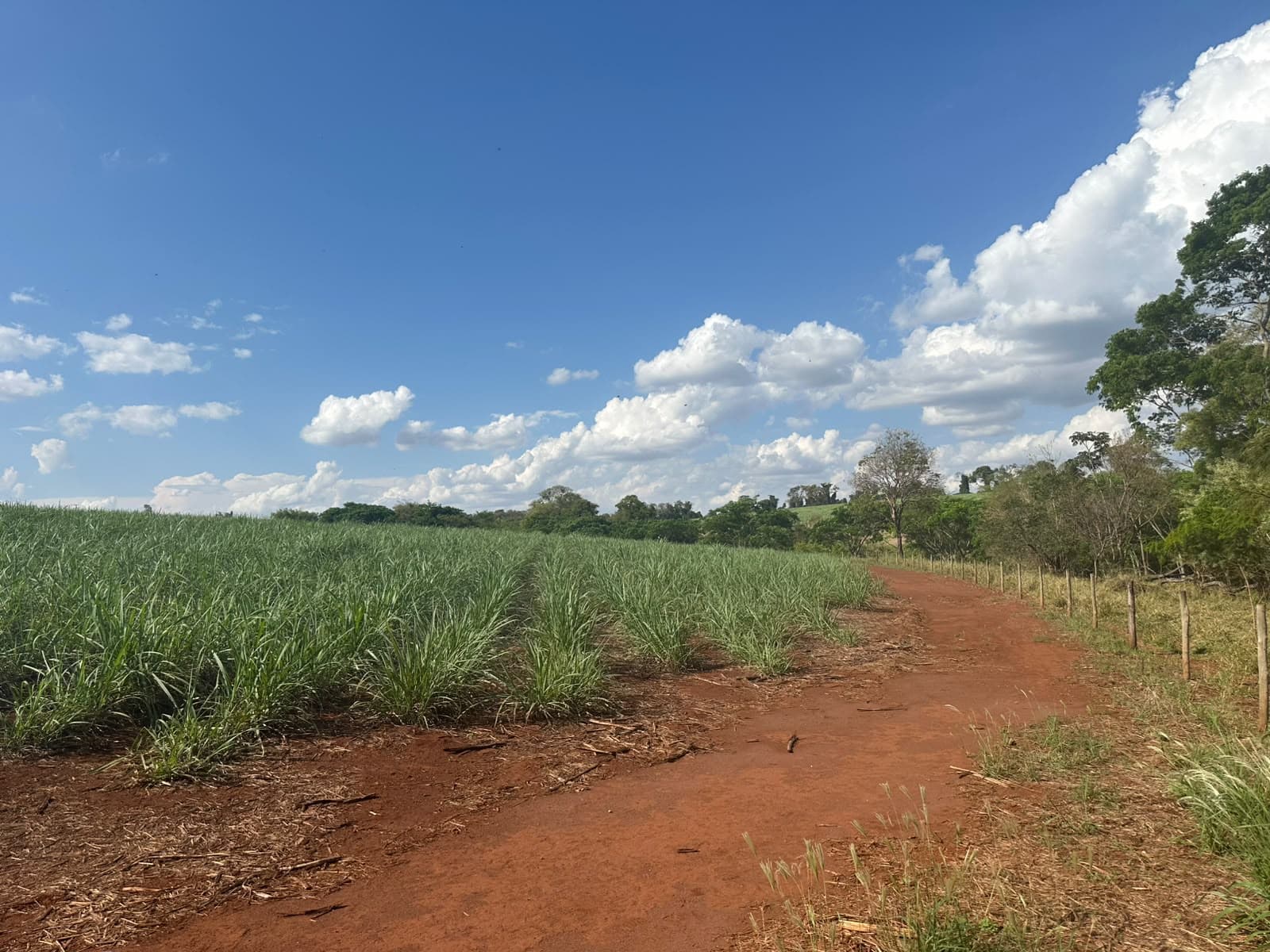 Área de implantação agrícola e vias de acesso no campo monitoradas pela Exxata Agro